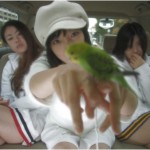 loveexpo