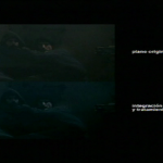 vlcsnap-2010-08-10-12h31m29s236