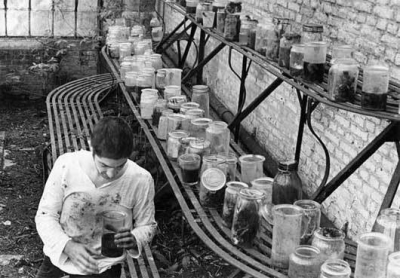 Vases de Noces, un Pasolini made in Belgium ?